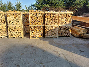 Envie de découvrir les métiers du bois, de la forêt ou des produits finis : c'est chez Wood Synergy Group que cela se passe