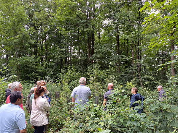 À la découverte d’une forêt privée du Condroz